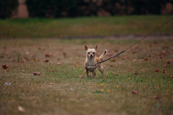 How to purchase crane mats: key considerations for construction sites