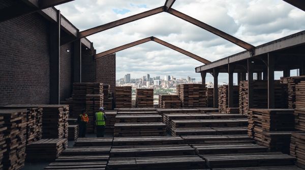 Top timber suppliers in Bristol to enhance your projects